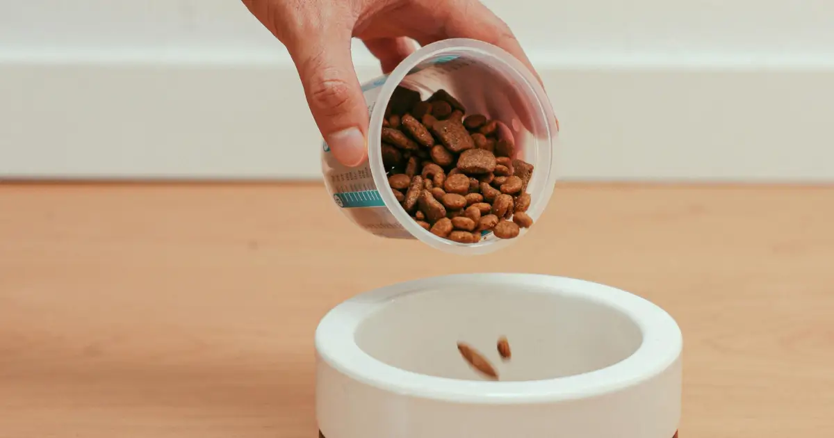 Balanced Dog Food
