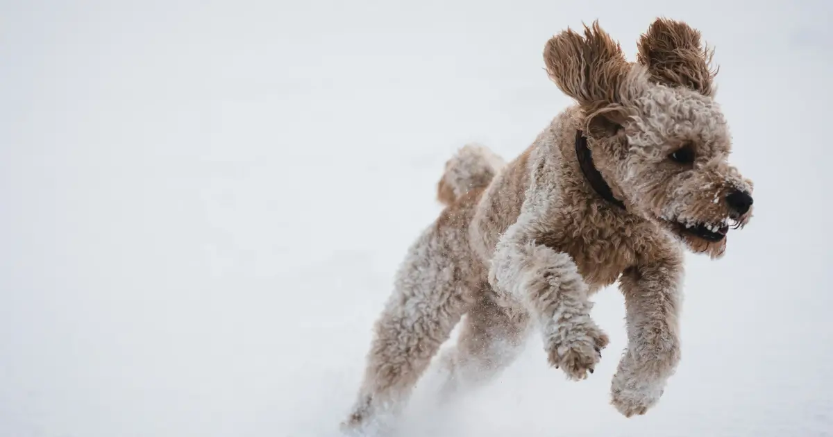 Exercise In Winter