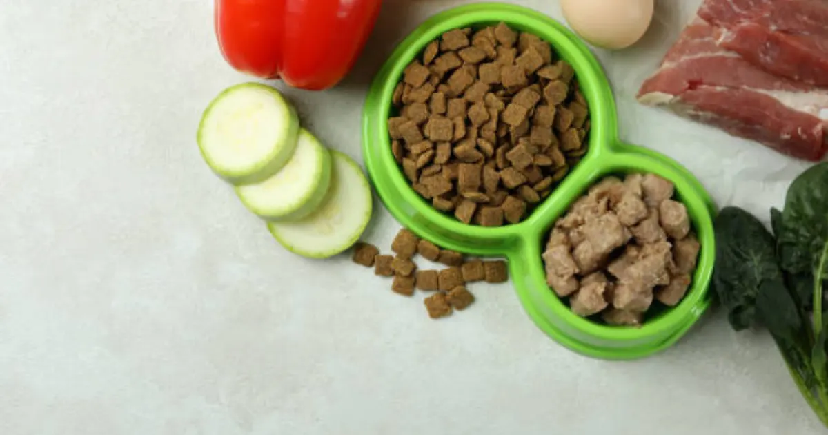 Fresh Dog Food Recipes for Poodles