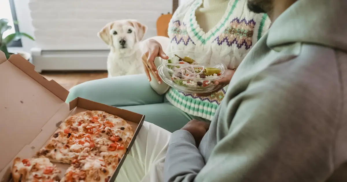 Healthy Homemade Dog Food