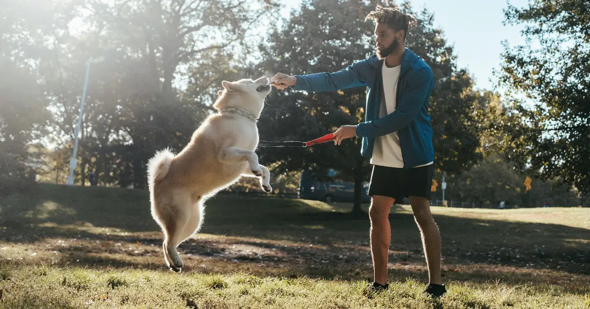 Training and Socialization Guidelines