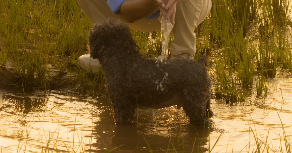 Common Bathing Mistakes to Avoid